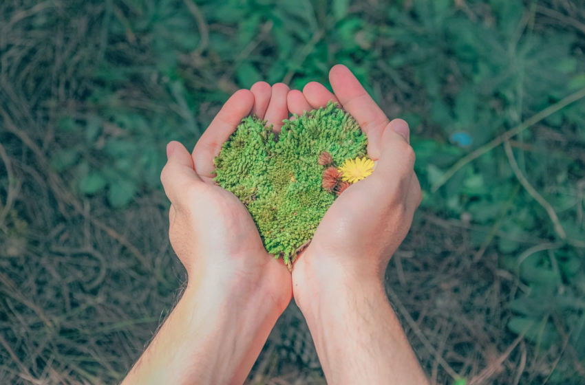  Cientistas reconhecidos vão debater a biodiversidade em Orléans, França